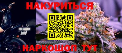 ешки Бийск
