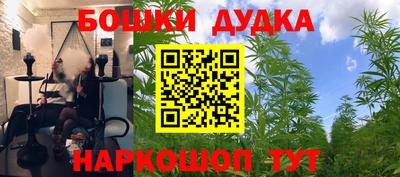 спайс Берёзовский