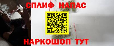 ешки Бийск