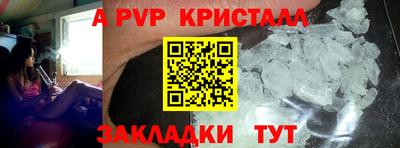 спайс Берёзовский