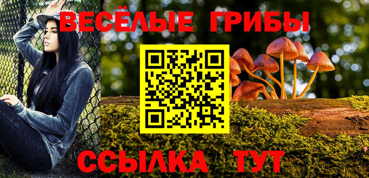Псилоцибиновые грибы GOLDEN TEACHER  Вход с VPN  Касимов 