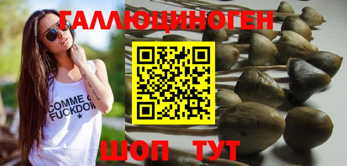 Псилоцибиновые грибы мицелий Касимов